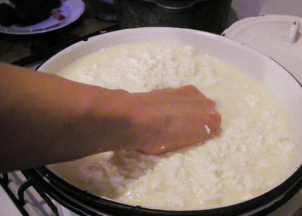 1. Этап. Сыр с дырками в домашних условиях: Чистой рукой сильно 