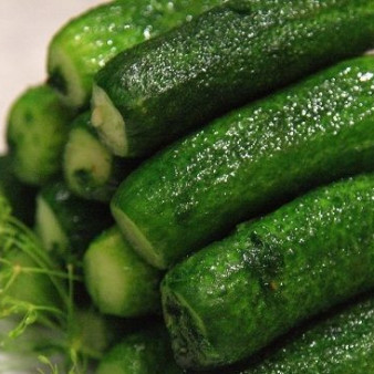 Малосольные огурчики с чесноком