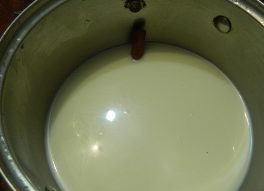 1. Этап. Флан испанский: Первым делом придадим нашему будущему флану вкус. Для этого необходимо довести до кипения молоко с палочкой корицы.