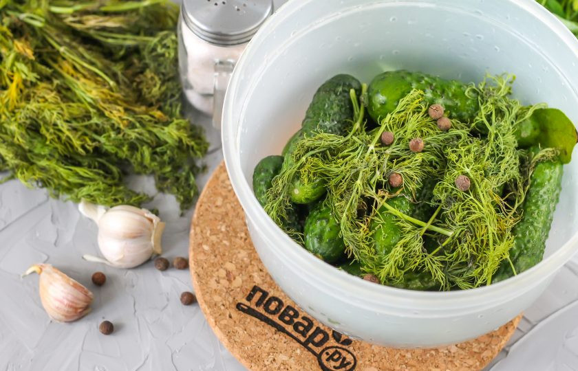 1. Этап. Соленые огурцы по ГОСТу: Промойте укроп в воде, выложите в емкость к огурцам. Заменять укроп петрушкой или другой свежей зеленью нельзя — она закислит рассол.