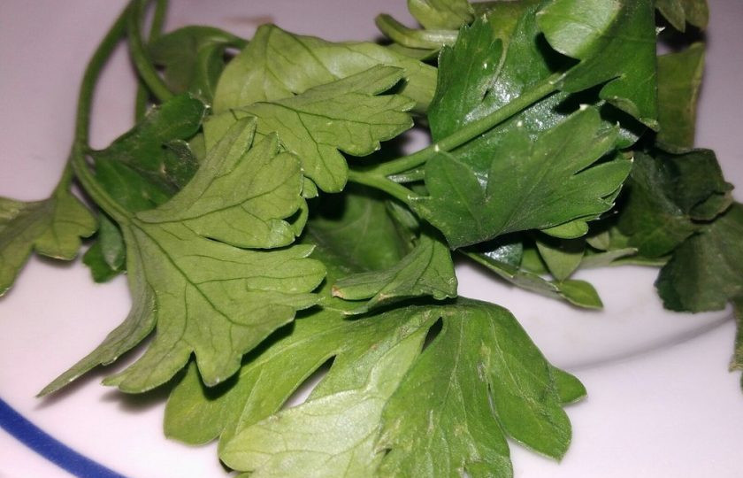 1. Этап. Диетический суп с овсянкой: 5. Зелень я добавляю в самом конце (петрушку, укроп или лук — по вашему вкусу).