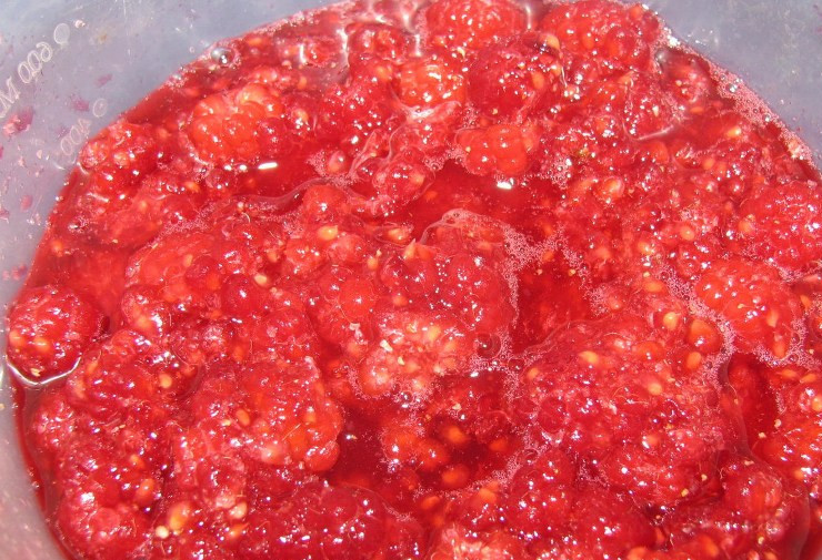 1. Этап. Вареники с малиной: Для начала нам следует тщательно перебрать малину, промыть и засыпать ягоду сахаром, оставляем малину на полчасика, чтобы она дала сок. По истечении времени лишнюю жидкость нужно будет слить, нам понадобятся только ягоды.