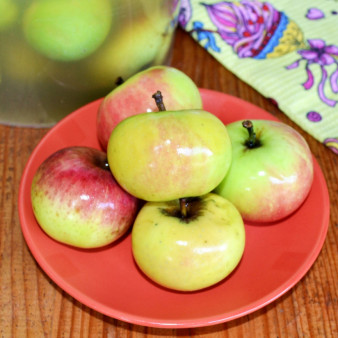 Моченые яблоки с медом