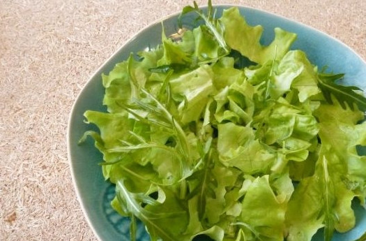 1. Этап. Салат с авокадо и морепродуктами: 3. Для сервировки выкладываем зеленый салат на дно тарелок.