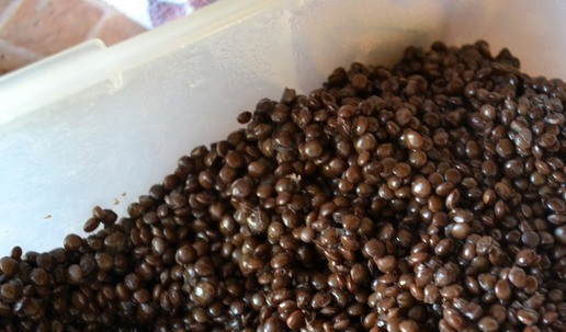 1. Этап. Паштет из чёрной чечевицы: Чечевицу приготовить по инструкции на упаковке: крупу промыть, залить холодной водой в пропорции 1 к 2. Довести до кипения, огонь уменьшить до минимума и варить до готовности. Чечевица должна впитать всю воду.