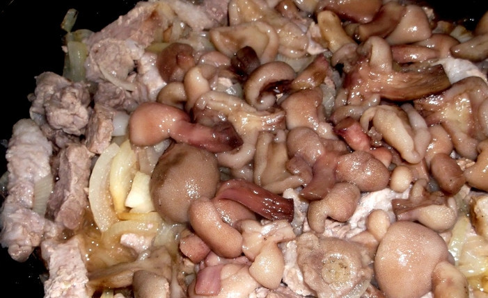 1. Этап. Мясо, тушенное с грибами в сметане: Добавьте на сковороду отварные грибы, посолите по вкусу. Перемешайте и продолжайте готовить под крышкой еще 25 минут.