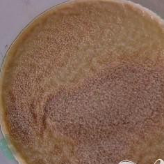 1. Этап. Пицца с моцареллой и томатным соусом: 1. Предварительно разогреть духовку на самой низкой температуре. Когда нагреется, выключить огонь и держать дверцу закрытой. В миску добавить мед и 1 чашку горячей воды и размешать. Засыпать один пакет дрожжей на поверхность воды. Дать постоять примерно 5-6 минут.