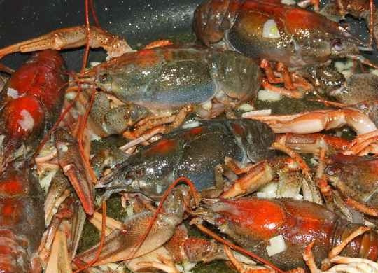 1. Этап. Раки в пряном соусе: Выкладываем раков на сковороду с маслом и чесноком и обжариваем их до равномерного оранжевого цвета.