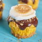 S'mores Pumpkin Cupcakes