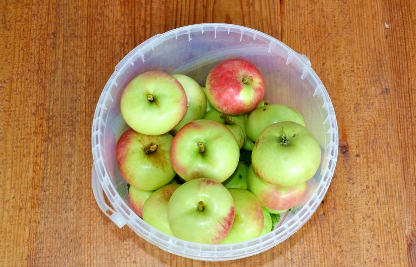 1. Этап. Моченые яблоки с медом: Выложите яблоки.