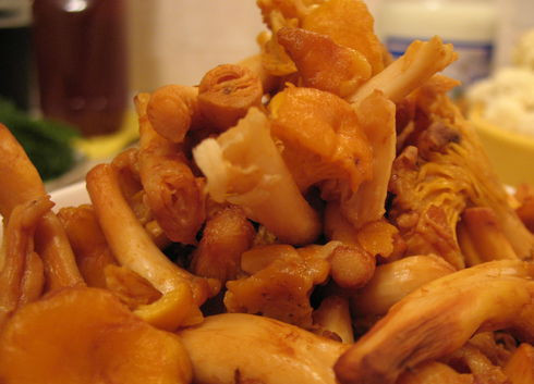 1. Этап. Цветная капуста с грибами и сыром: 2. Первым делом нужно налить в кастрюлю воду и отправить ее на огонь. Капусту вымыть и разобрать на соцветия, выложить в кипящую воду, немного подсолив ее. Варить около 3-5 минут. Грибы тоже вымыть и измельчить, добавить в кастрюлю к капусте и варить еще пару минут.