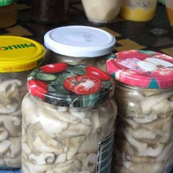 Соленые грузди в банках на зиму