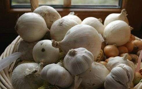 1. Этап. Шурпа в казане на костре: Лук и чеснок почистить и порезать.