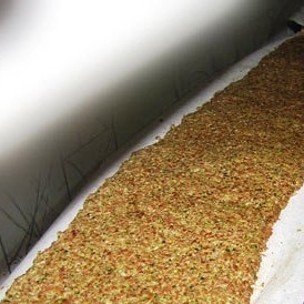 1. Этап. Пикантные хлебцы: Берем кусок пергаментной бумаги, тонким слоем распределяем по нему наше тесто. Сушить хлебцы можно на радиаторе (для сыроедов - это не термальная обработка, потому что температура на радиаторе - 36-38 градусов), а если сейчас лето - то просто на солнце.