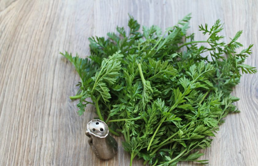 1. Этап. Морковная ботва на зиму: Подготовьте морковную ботву для хранения. Ее нужно перебрать, удаляя черешки, сполоснуть и обсушить.