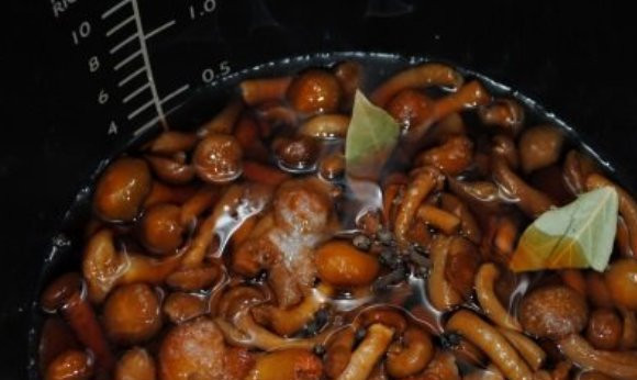 1. Этап. Маринованные опята в мультиварке: Заливаем опята водой, добавляем лавровый лист, перец горошком, гвоздику и соль. Включаем режим 