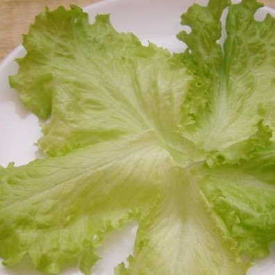 1. Этап. Салат Морской коктейль: На блюдо выкладываем промытые листья салата.