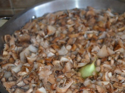 1. Этап. Солянка на зиму в банках с грибами: Грибы чистим, промываем водой, режем, варим полчаса вместе с одной головкой репчатого лука.