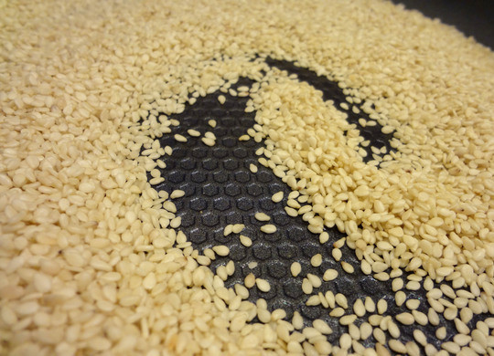 1. Этап. Плавленый сыр с начинкой: Семена кунжута обжариваем на сухой сковороде до золотистого цвета. Не забывайте перемешивать кунжут во время жарки.