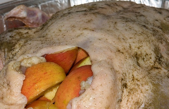 1. Этап. Утка в духовке: 4. Наполните утку яблочками.