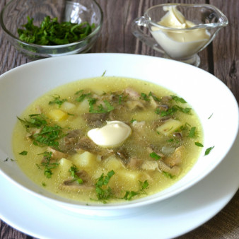 Суп из сыроежек