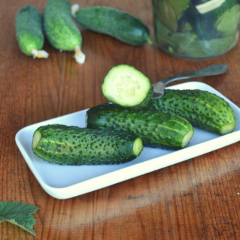 Малосольные огурцы в горячем рассоле