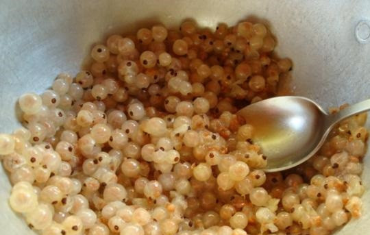 1. Этап. Желе из белой смородины: 1. Для начала ягоды нужно снять с веточек и хорошо промыть. Слегка просушить и отправить в небольшую кастрюлю или сотейник. Влить немного воды и поставить на огонь. Как только начнет кипеть, снять с огня.