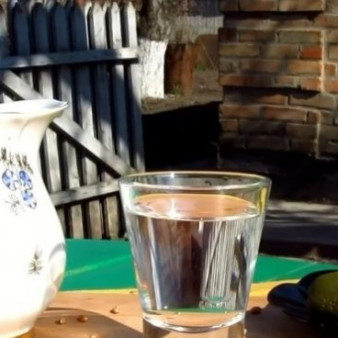 Брага на пророщенной пшенице