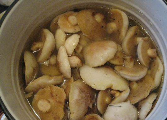 1. Этап. Маринованные маслята быстрого приготовления: Тщательно перебираем, очищаем и промываем маслята. Затем отвариваем в подсоленной воде 15 минут. Откидываем на дуршлаг грибочки.