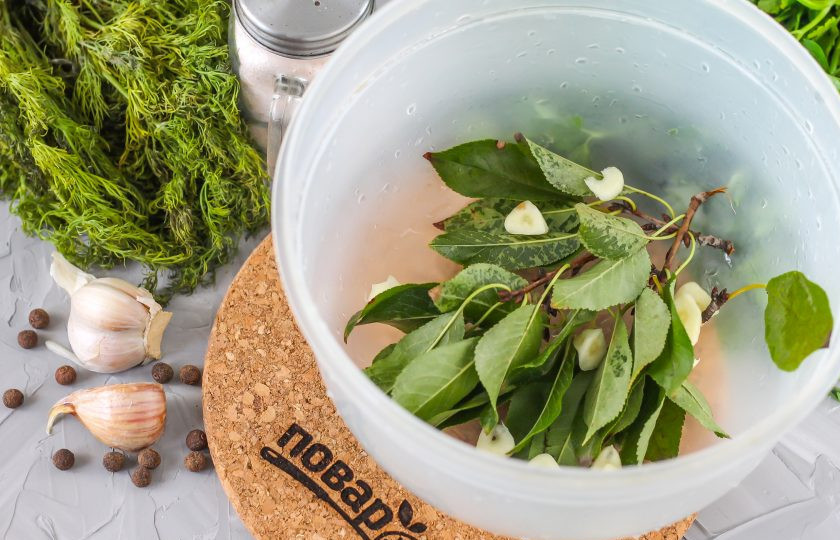 1. Этап. Соленые огурцы по ГОСТу: Очистите чесночные зубчики от шелухи, промойте в воде и нарежьте слайсами. Промойте листья вишни, смородины или хрена, дуба. Выложите их вместе с чесночной нарезкой в глубокую емкость или банку, в которой будете солить огурцы.