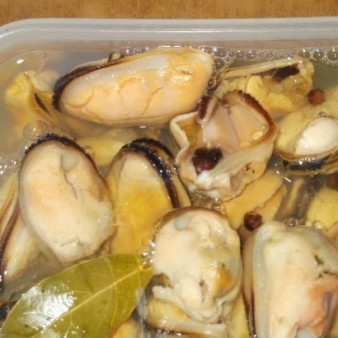 Маринованные мидии