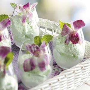 Homemade Lime Sherbet