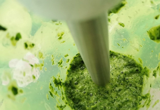 1. Этап. Луковый соус с петрушкой: Пробить блендером до однородности. Или почти до однородного состояния.