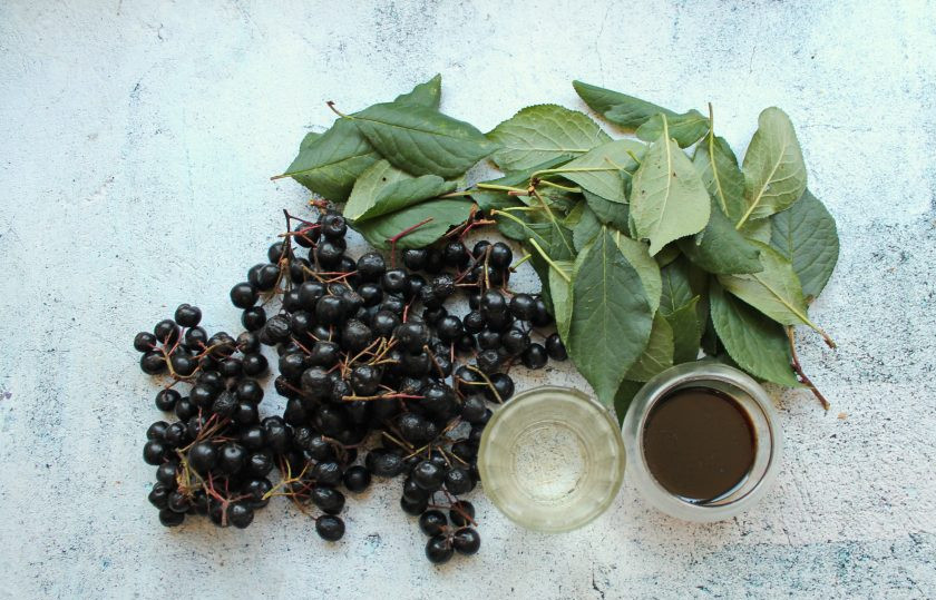 1. Этап. Вино из листьев вишни и черноплодной рябины: Подготовьте все необходимые ингредиенты для приготовления вина из листьев вишни и черноплодной рябины. Рябину и листья переберите, сполосните и обсушите.