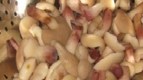 1. Этап. Маслята, жареные с луком: Еще раз промываем маслята.