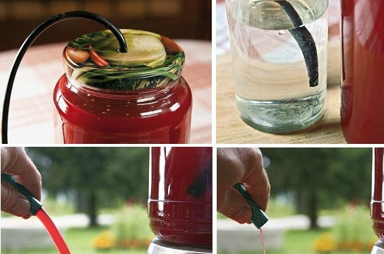 1. Этап. Вино из малины: 4. Перелейте будущее вино в банку, закрутите крышкой и вставьте трубочку в банку и второй конец — в емкость с водой. Уберите вино в темное и прохладное место. Через неделю нужно проветрить вино снова, но на этот раз используя шланг. Опустите один конец в банку с вином, а из второго нужно потянуть воздух, чтобы процесс пошел. Переливайте вино, установив на расстоянии одну тару от другой, чтобы оно напиталось воздухом.