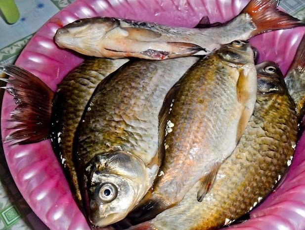 1. Этап. Хе из карася: Карася промойте и выпотрошите. Удалите голову, плавники, хвост.