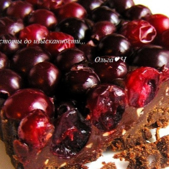Клюква в шоколаде