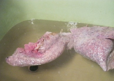 1. Этап. Легкое оленя, запеченное на огне: 2. Меняем воду до тех пор, пока она не станет приблизительно вот такой.