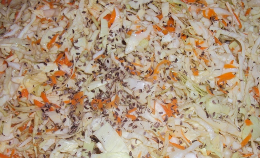 1. Этап. Капуста маринованная на зиму: Добавляем к нашинкованной капусте морковь, посыпаем солью и семенами укропа. Перемешиваем, слегка придавливая, чтобы капуста дала сок. Накрываем и оставляем на 2-3 часа.