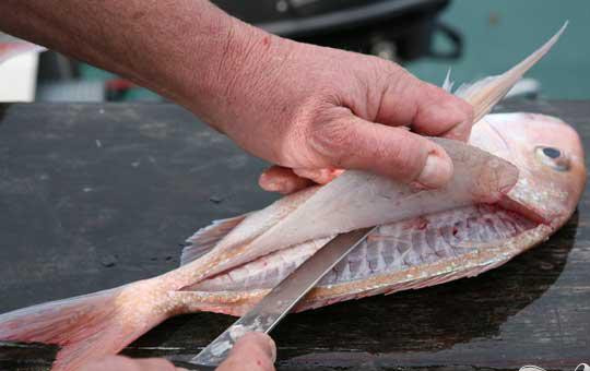 1. Этап. Морская рыба с томатами и зеленью: 2. Отделите от рыбы филе или возьмите готовые кусочки с кожей, просушите филе, и чтобы избежать ее свертывания в процессе жарки, сделайте по несколько надрезов на ее шкуре острым ножом. Сбрызните кусочки оливковым маслом, посолите и поперчите по вкусу. Уложите филе на противень шкурой вверх и поместите в духовку при высокой температуре на 8-10 минут.