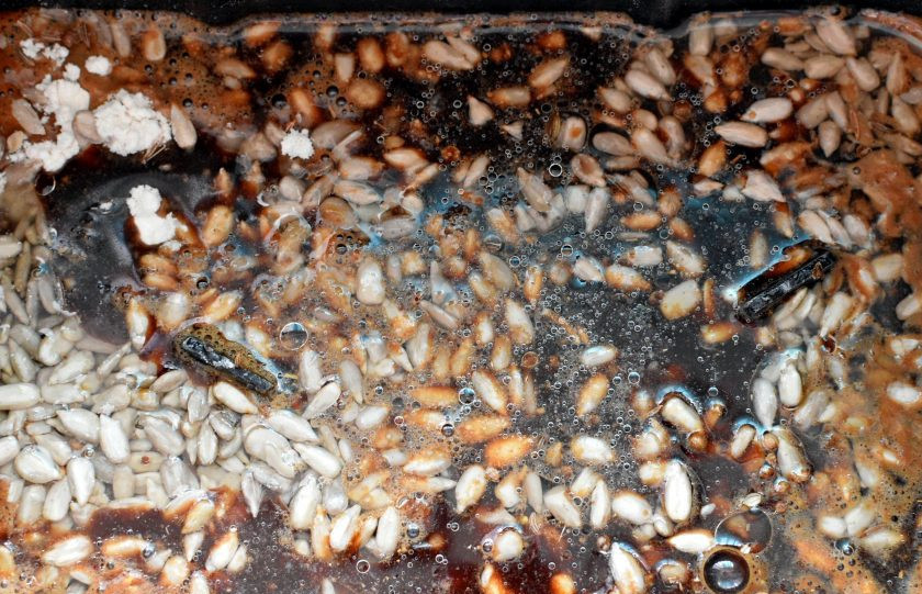 1. Этап. Шварцброт с квасом и отрубями: В последнюю очередь добавьте дрожжи и влейте квас. Включите замес теста. Дайте тесту подойти вдвое и снова включите замес на несколько минут, чтобы осадить тесто и дать ему возможность подняться еще раз.