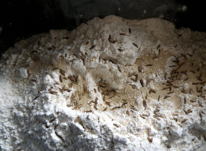 1. Этап. Хлеб серый с отрубями: Тесто я замешиваю в хлебопечке. Закладывать продукты следует в соответствии с инструкцией к вашей модели. Муку непременно следует просеять, лучше дважды. Продукты берите комнатной температуры. Масло добавляйте в два приема: две ложки сразу в жидкость, а третью в середине замеса.