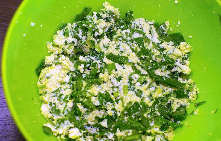 1. Этап. Рулетики из куриной грудки: В удобной посуде смешиваем творог, который посолим и поперчим, петрушку, лук, шпинат, измельченный чеснок. Все хорошенько перемешиваем и разминаем руками!