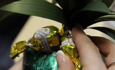 1. Этап. Ананас из конфет: 8. Теперь можно по одной приклеивать конфеты, стараясь размещать их довольно плотно.