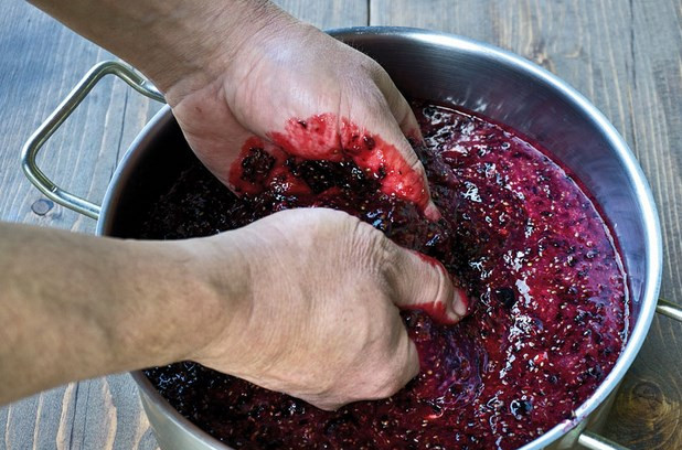 1. Этап. Домашнее вино из смородины без дрожжей: Ягоды насыпем в глубокую ёмкость и хорошенько разомнём руками.