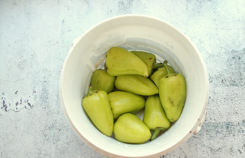 1. Этап. Таркинский перец: В каждом перце у плодоножки сделайте надрезы, не отрезая ее, и выложите в широкую посуду, у меня пищевое ведро. Залейте холодной водой и оставьте на сутки, немного придавив, чтобы вышла лишняя горечь. Затем воду полностью слейте.