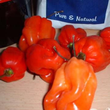 1. Этап. Соус чили в домашних условиях: Порезать чили перец, удалив семена. Мелко нарезать чеснок (1-3 головки). Объединить в кастрюле перец, чеснок и 150 мл уксуса. Добавить 5 чайных ложек соли и 1 чайную ложку сахара. Довести до кипения, варить в течении 15 минут. Затем взбить смесь в блендере и перелить в банку либо бутылку.