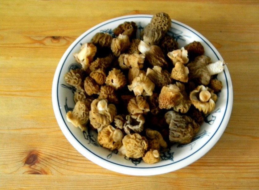 1. Этап. Сморчки, жареные с картошкой: Сморчки промываем и очищаем. Затем отвариваем в подсоленной воде 15 минут.