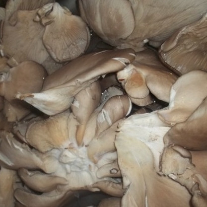 1. Этап. Вешенки с луком: Вешенки промыть и крупно нарезать.